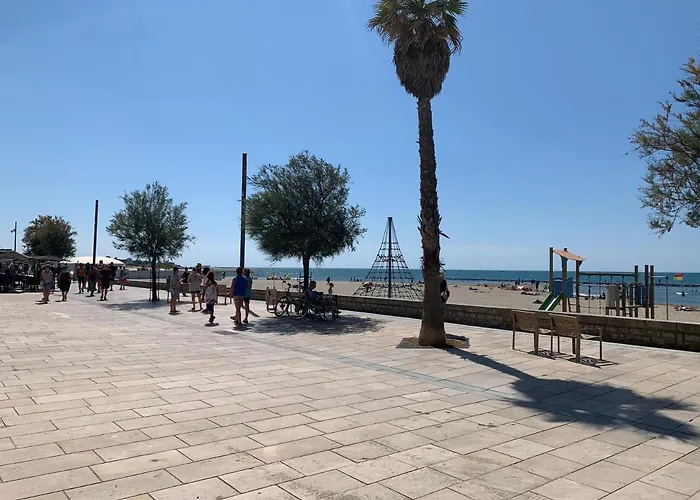 Cavi Laurier Appartement *